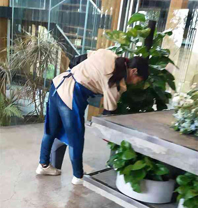 专业开荒保洁公司